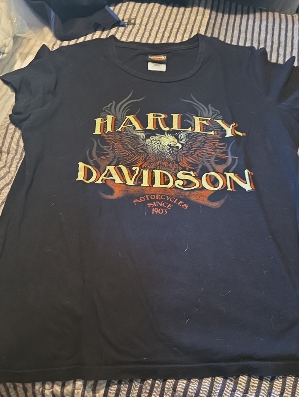 Harley-Davidson Black Eagle Graphic Tee